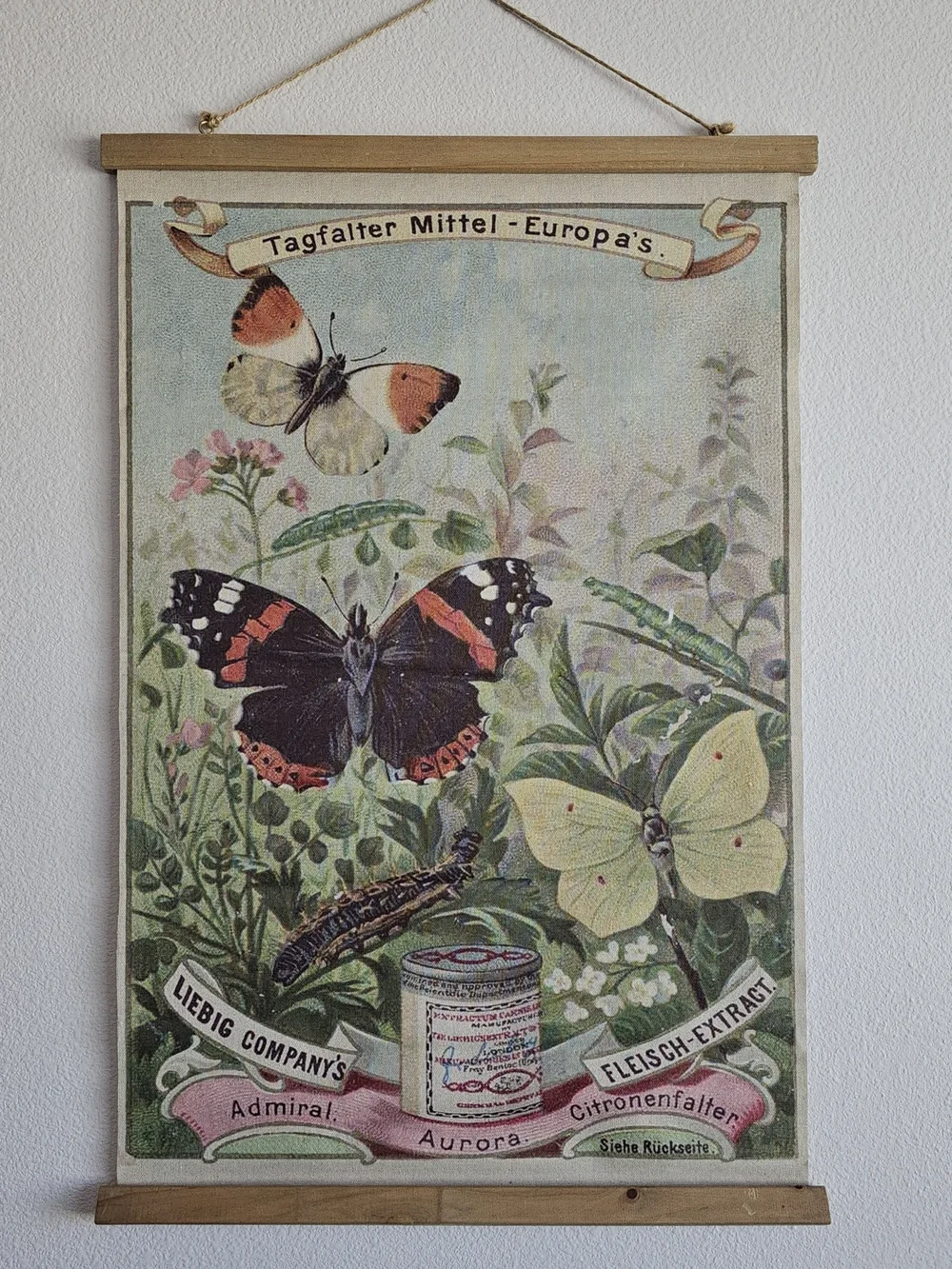 NWOT Vintage Butterfly Wall Art Print in Green and Cream